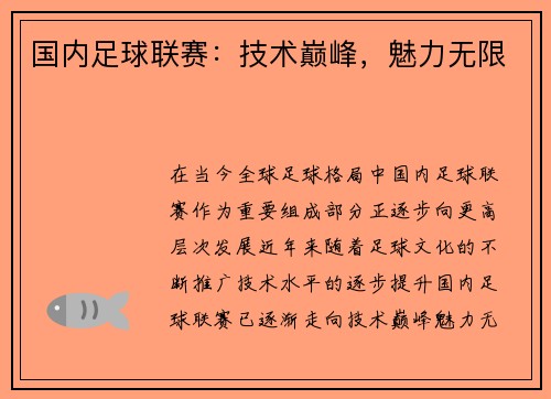 国内足球联赛：技术巅峰，魅力无限