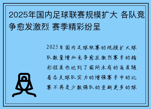 2025年国内足球联赛规模扩大 各队竞争愈发激烈 赛季精彩纷呈