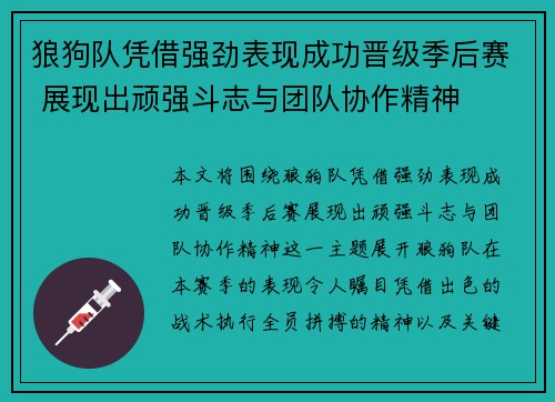 狼狗队凭借强劲表现成功晋级季后赛 展现出顽强斗志与团队协作精神